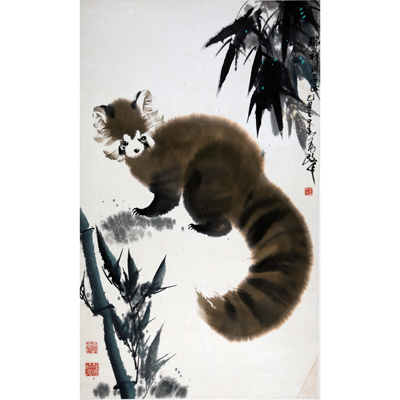 小熊猫
