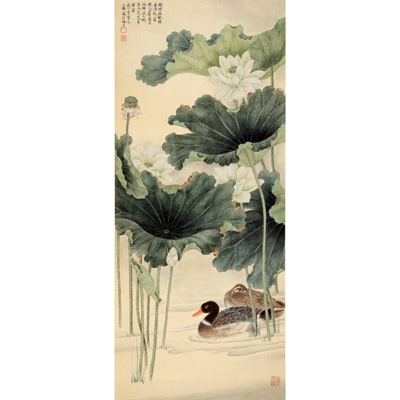 荷花双鸭