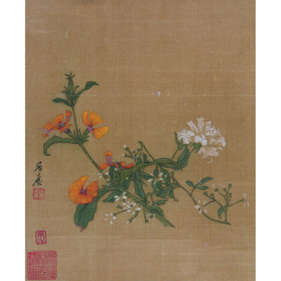 花卉