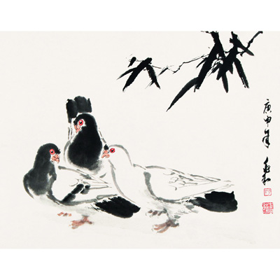 和平鸽