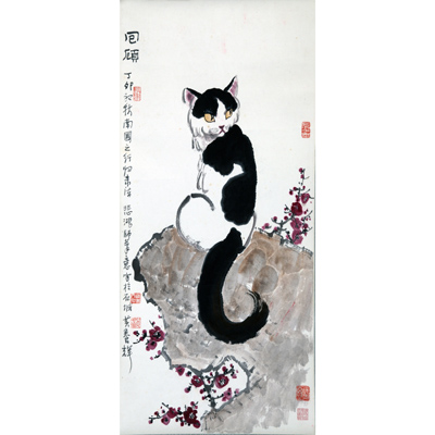 猫
