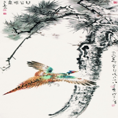 幽谷鸣禽