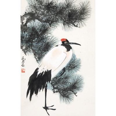 松鹤