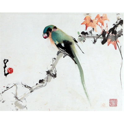 鹦鹉