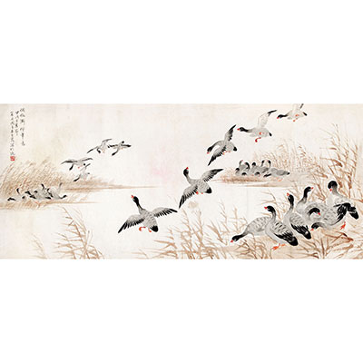 芦雁